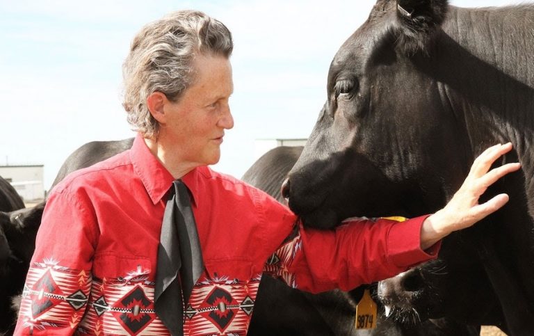 Otizmin Engelleyemediği Kadın