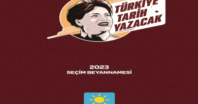İyi parti