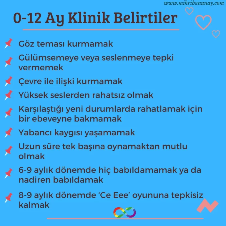 Gürcistan'daki Otizm Spektrum Bozukluğunun Anlık Görüntüsü