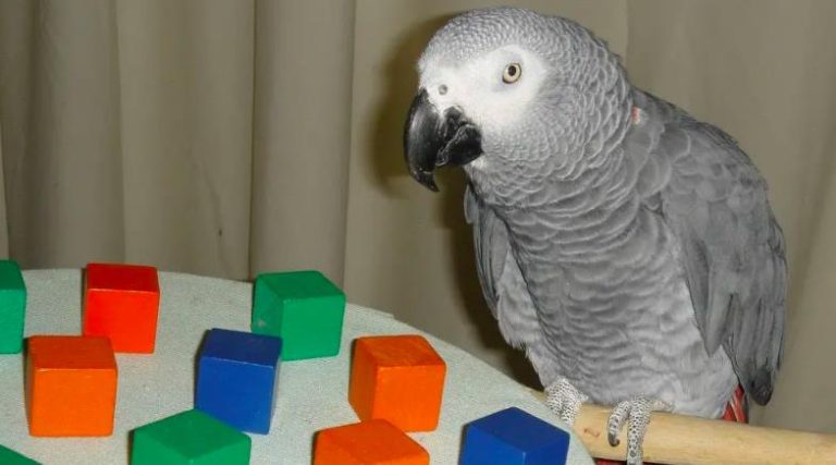 dB1ioOYUmb7lPcGu-637926134894026236