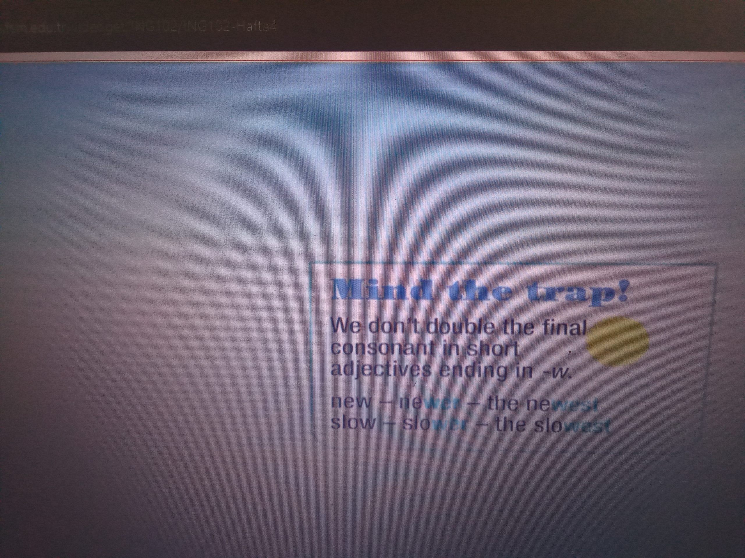 IMG_20250406_124634_430