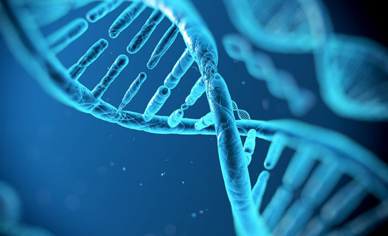 content_2021-04-02_12-32-341