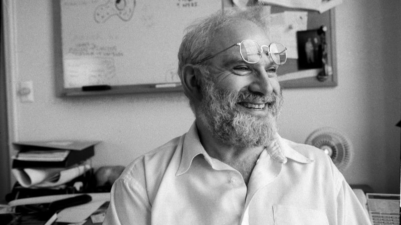 Oliver-Sacks-800x450