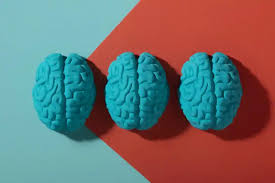 Otizm ve Nöroçeşitlilik: Bozukluk Değil, Farklılık