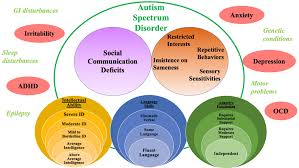 The spectrum effect: Convergence of clinical and neuropsychological characteristics in adults referred for autism assessment